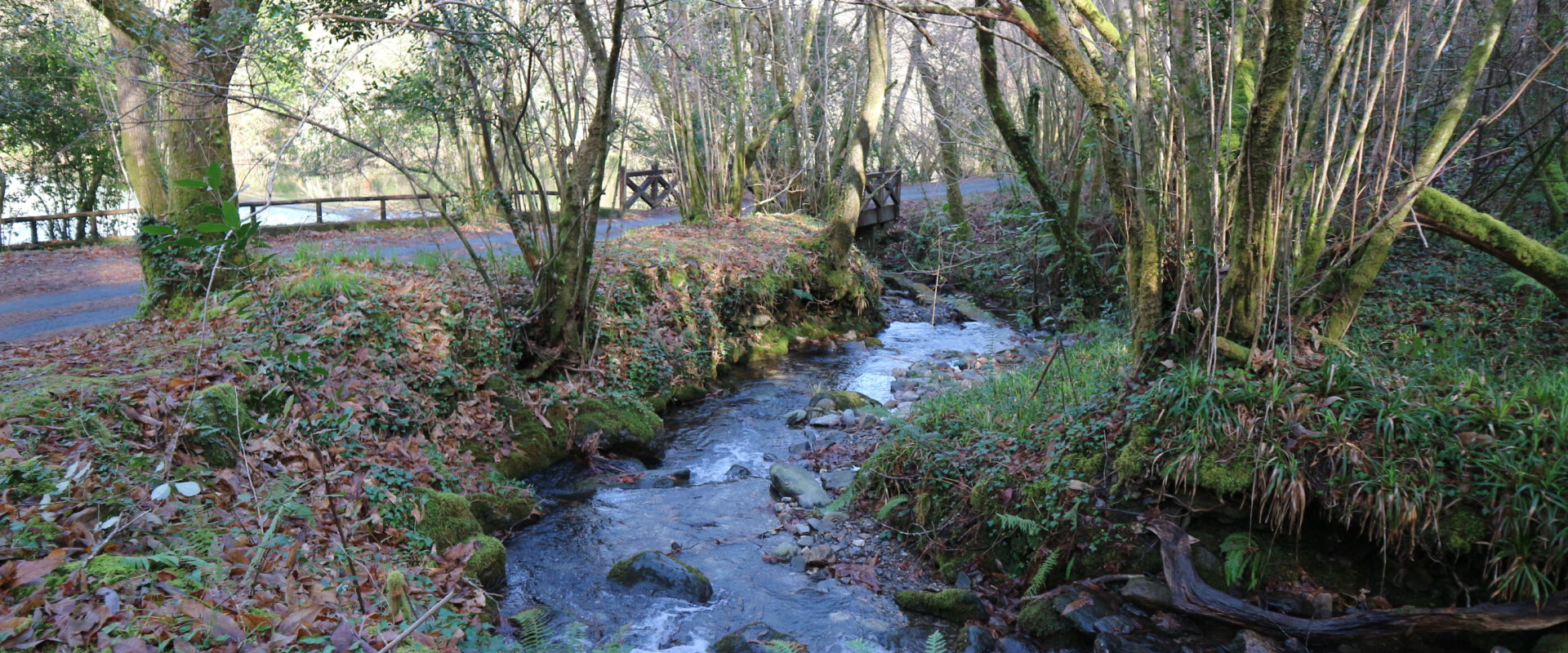 Fragas do Eume — Parque Natural