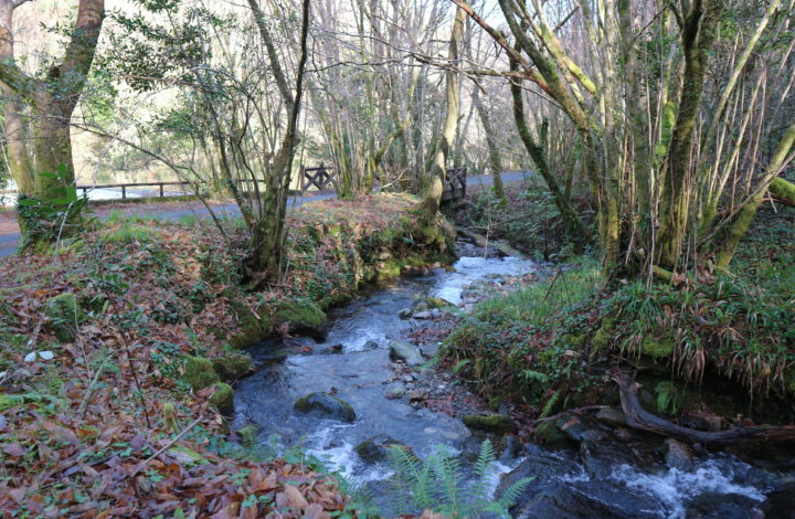 Fragas do Eume — Parque Natural